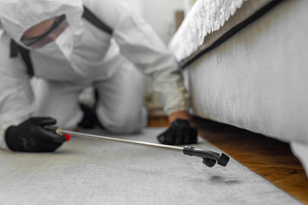 Professional Bed Bug Control technician working in Goodwell, OK