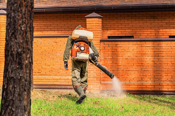 Trusted Rodent Control service in Goodwell, OK - Nex Pest Control